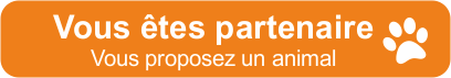 Partenaire